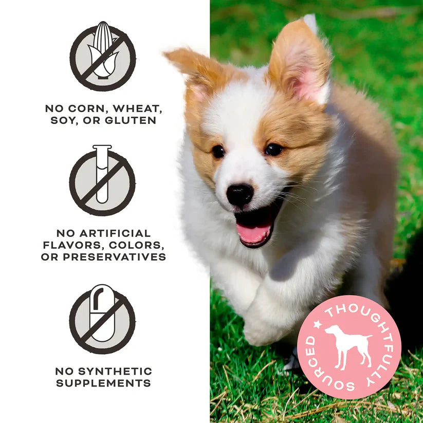 Primal🐶Freeze Dried Raw Treats Pumpkin for My Pumpkin 2oz