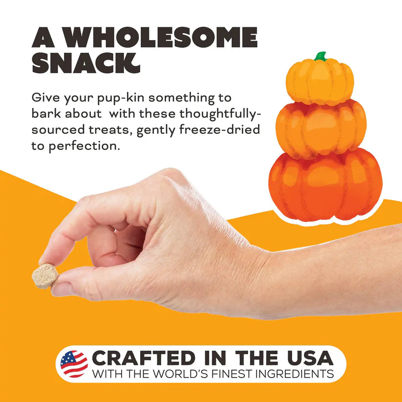 Primal🐶Freeze Dried Raw Treats Pumpkin for My Pumpkin 2oz