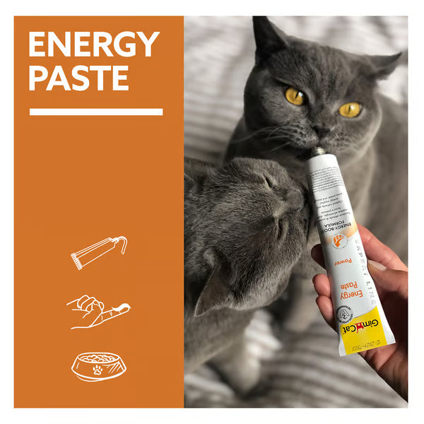 GimCat🐱Hight Protein Energy Paste 50g
