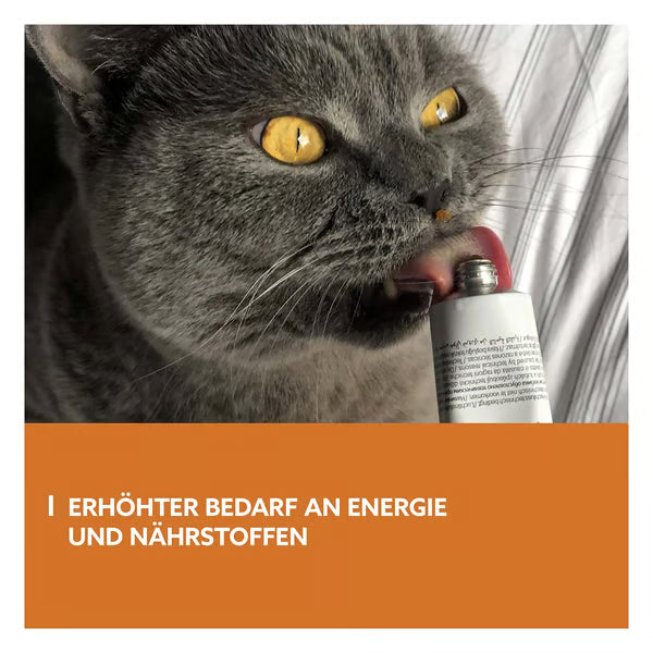 GimCat🐱Hight Protein Energy Paste 50g
