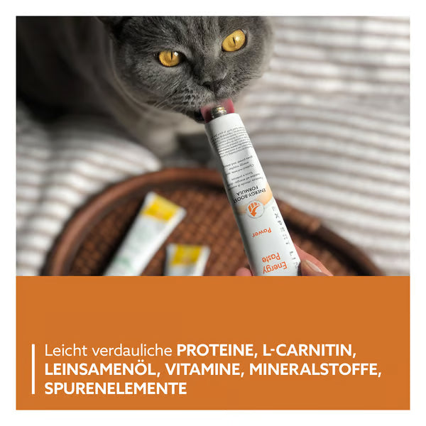 GimCat🐱Hight Protein Energy Paste 50g