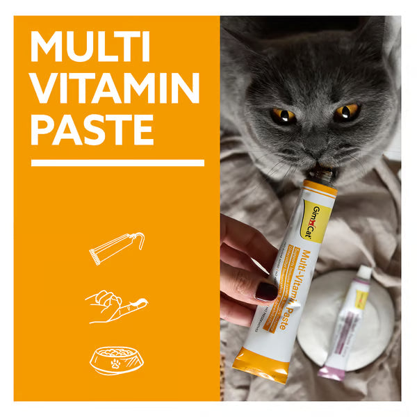 GimCat🐱Multi-Vitamin Immune Paste 50g