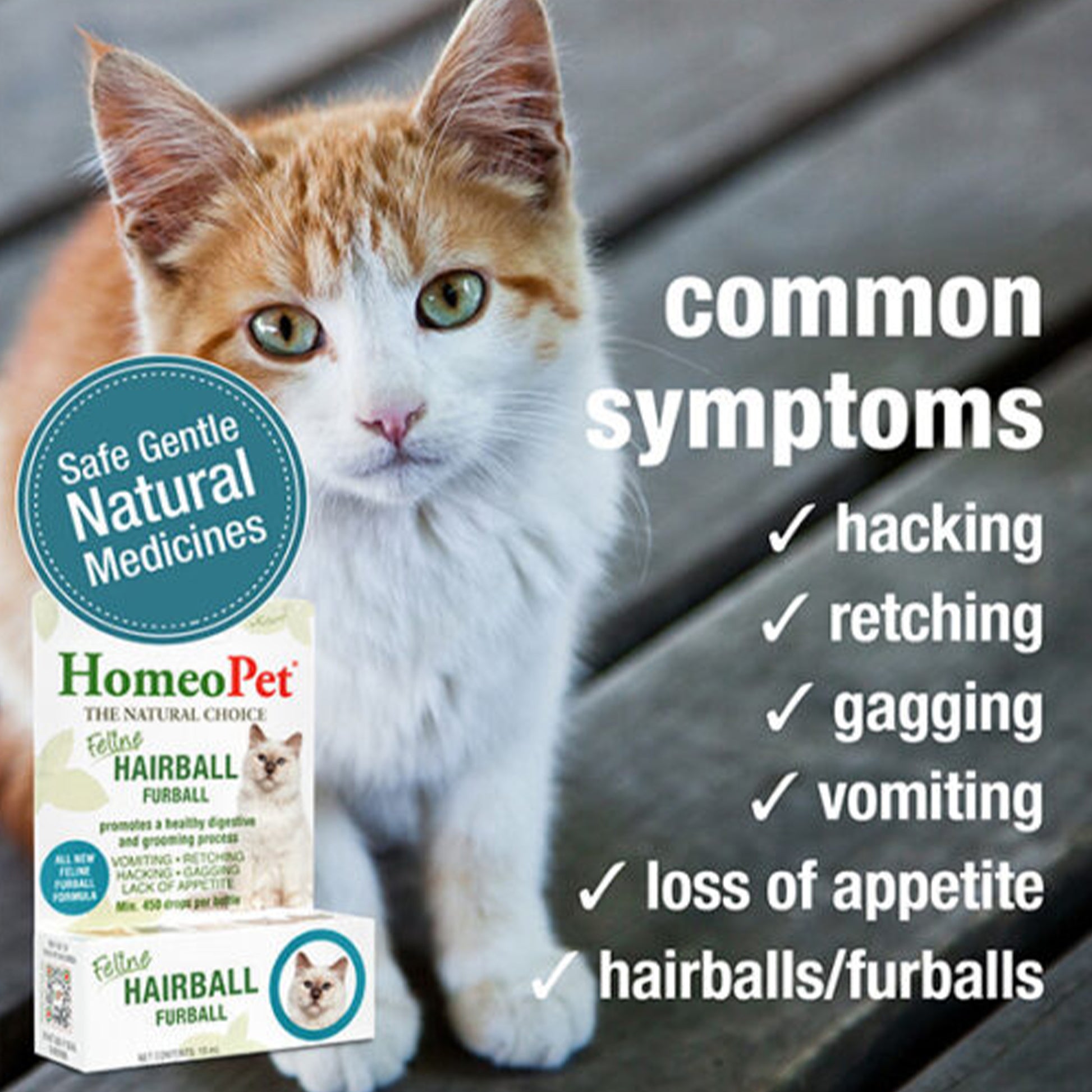 Homeo Pet🐱Hairball Furball 1.1oz