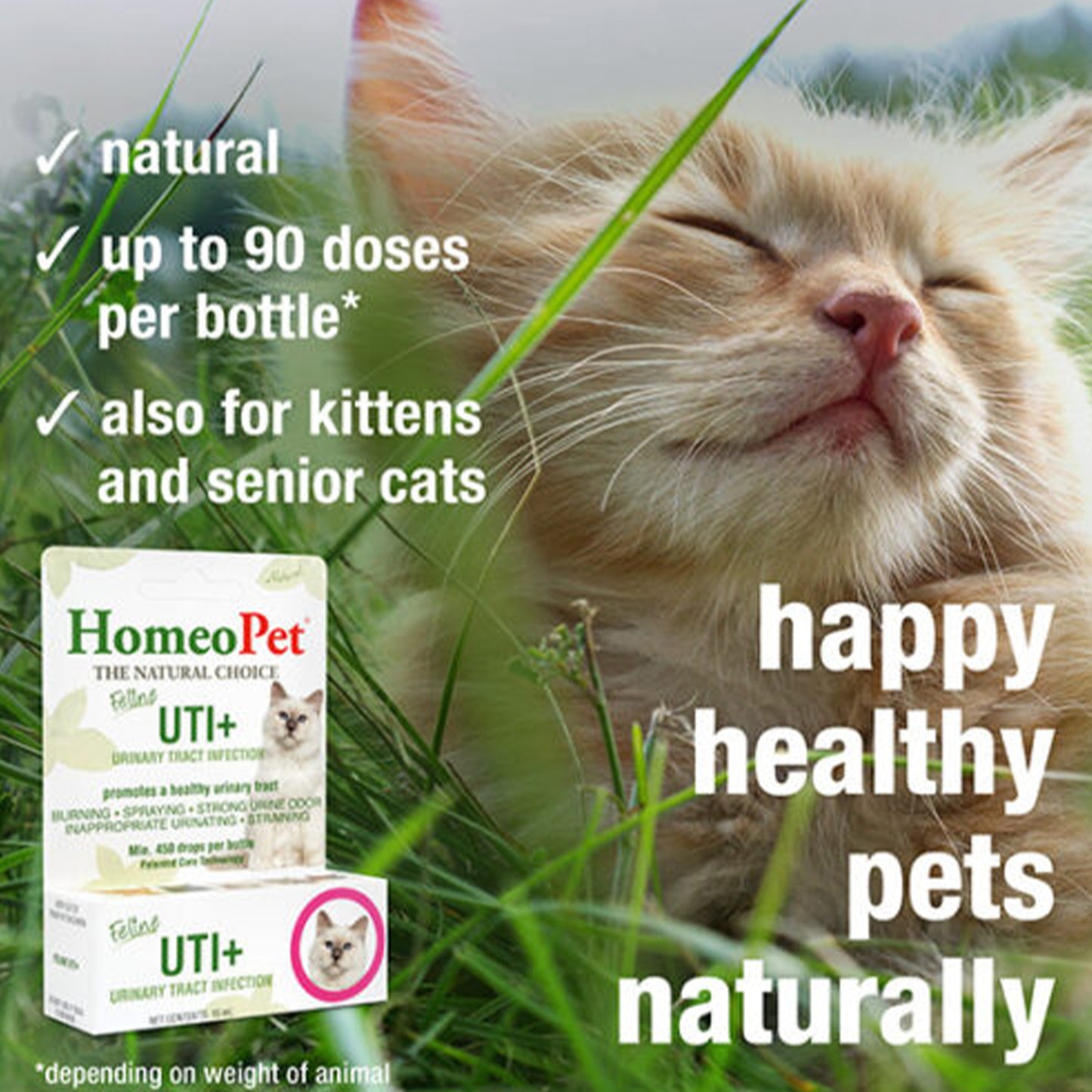 Homeo Pet🐱Feline UTI+ 1.1oz