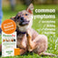 Homeo Pet🐱🐶Skin And Itch 1.1oz