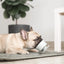 Lunoji🐱🐶Chewden: Base Mess-Free Weighted Mat - Sage Green