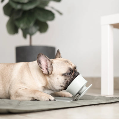 Lunoji🐱🐶Chewden: Base Mess-Free Weighted Mat - Sage Green