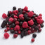 PI PET🐶Freeze Dried Daily Mixed Berries 100g