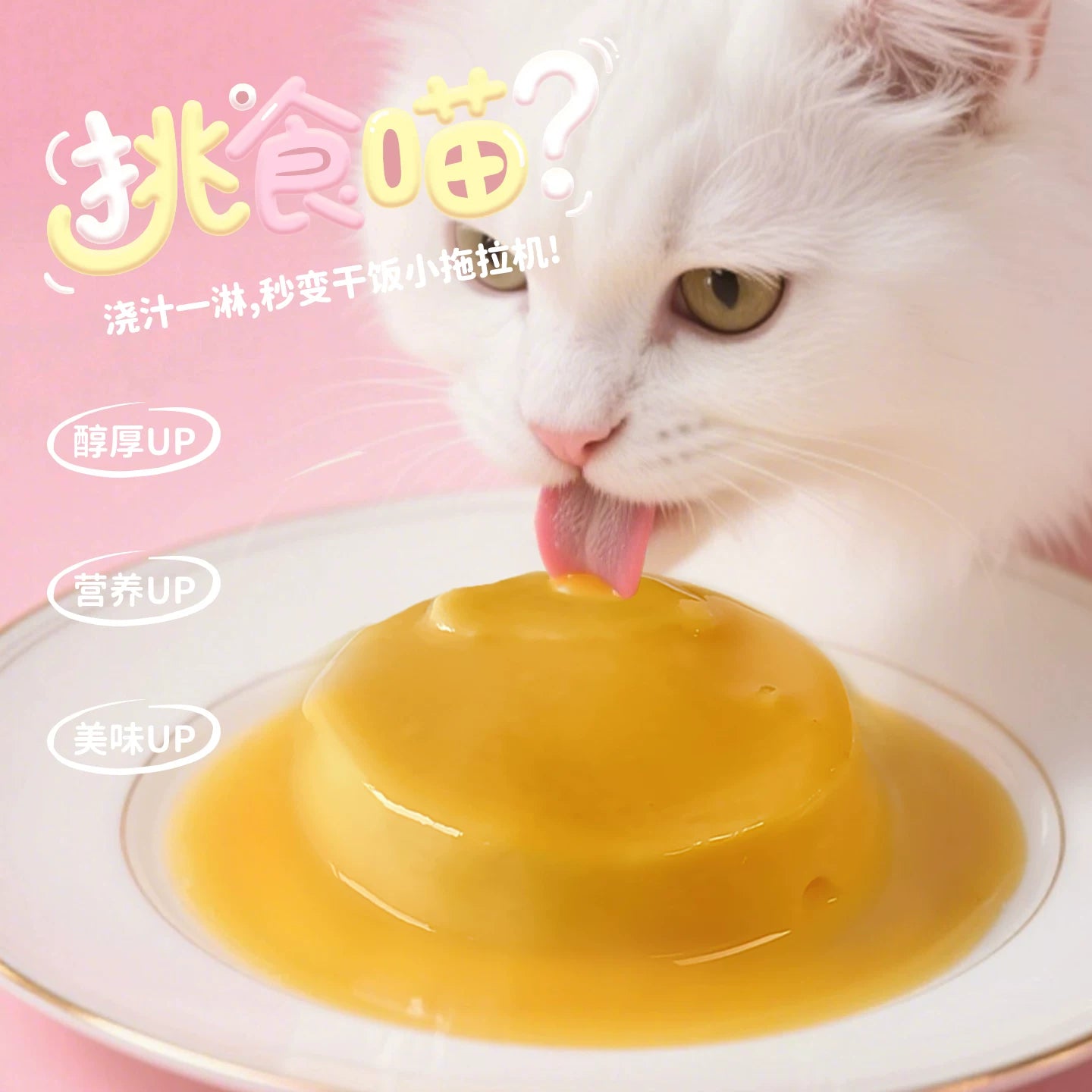 JJYM🐱Donburi-Style Complete Wet Food