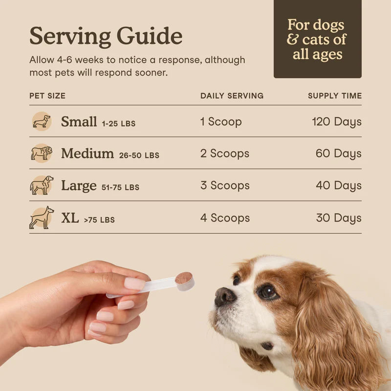 Fera Pets🐱🐶USDA Organic Mushroom Blend for Immune Support 60g