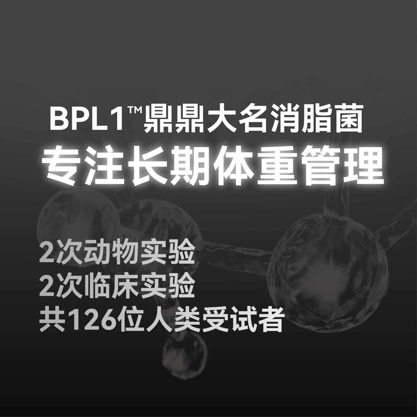 All For One🐱Fat-Metabolizing Probiotic Complete Wet Food