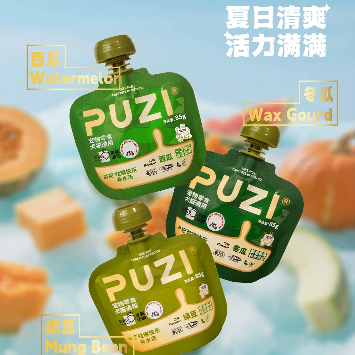 PUZI🐱🐶Summer Special Hydration Broth Pouch