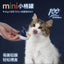 Guan🐱Mini Cup Mousse Complete Wet Food 45g*6