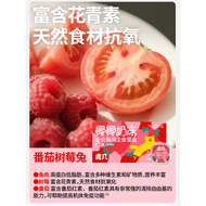 HUJI🐱Creamy Coconut Milk Complete Wet Food