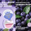 My Own Mountains and Seas🐱Arctic Blueberry Mousse Complete Wet Food 45g*4