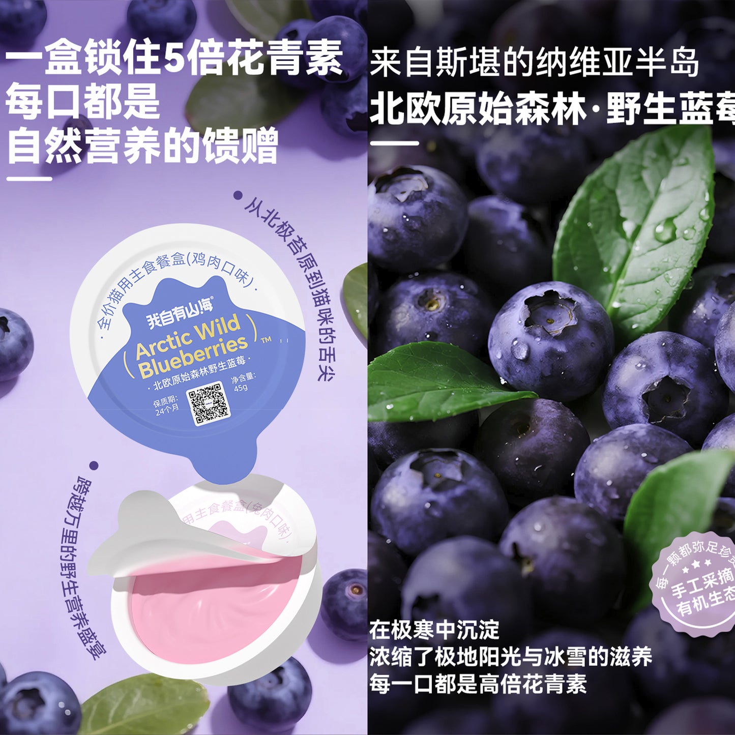 My Own Mountains and Seas🐱Arctic Blueberry Mousse Complete Wet Food 45g*4