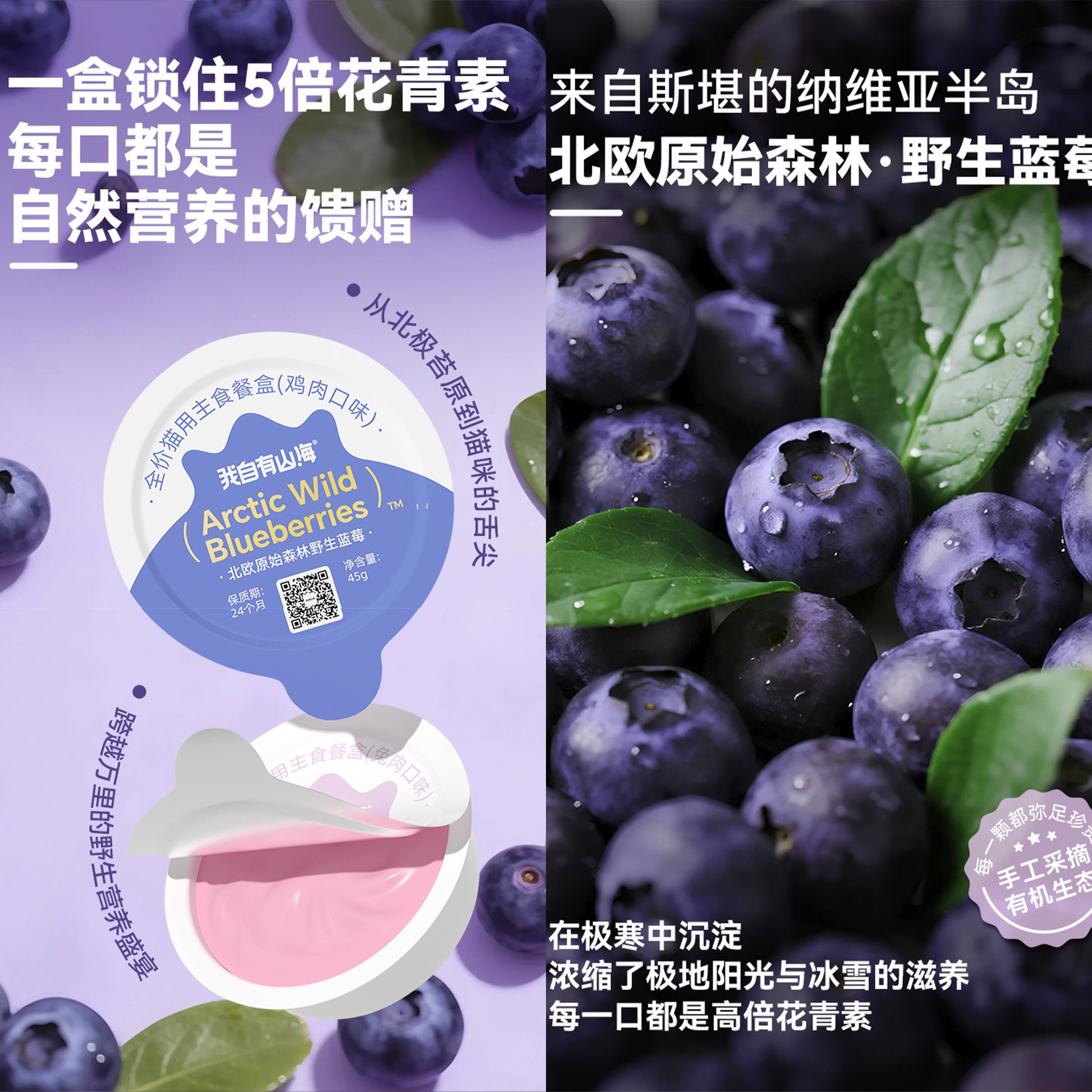 My Own Mountains and Seas🐱Arctic Blueberry Mousse Complete Wet Food 45g*4