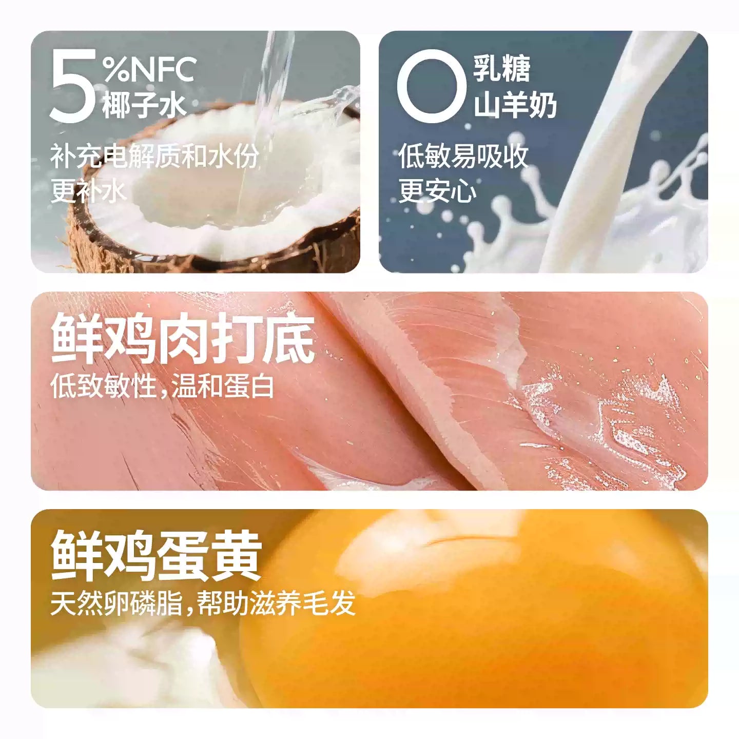 HUJI🐱Creamy Coconut Milk Complete Wet Food