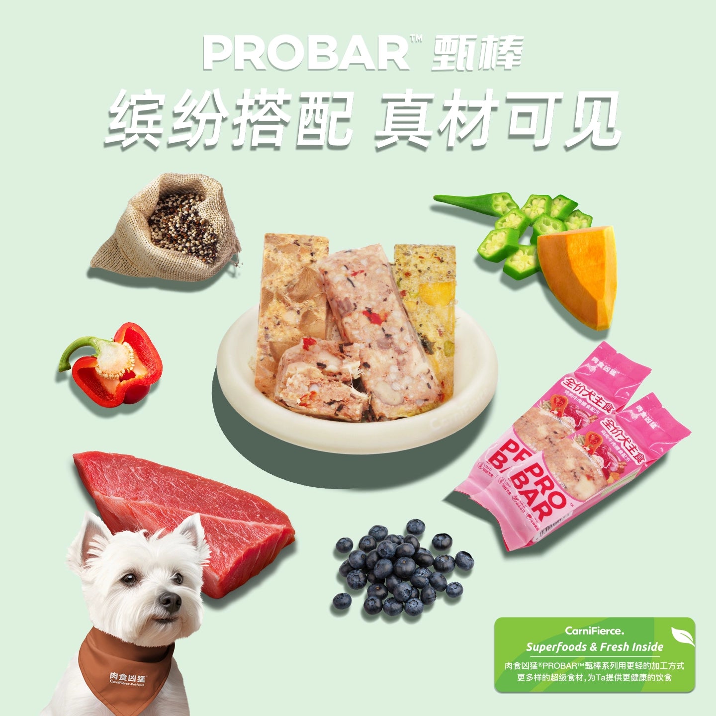 CarniFierce🐶Superfood Pro Bar Complete Wet Food 80g