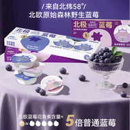 My Own Mountains and Seas🐱Arctic Blueberry Mousse Complete Wet Food 45g*4