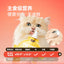 The Cat‘s Travel🐱Meat Stew Complete Churu 50g*4