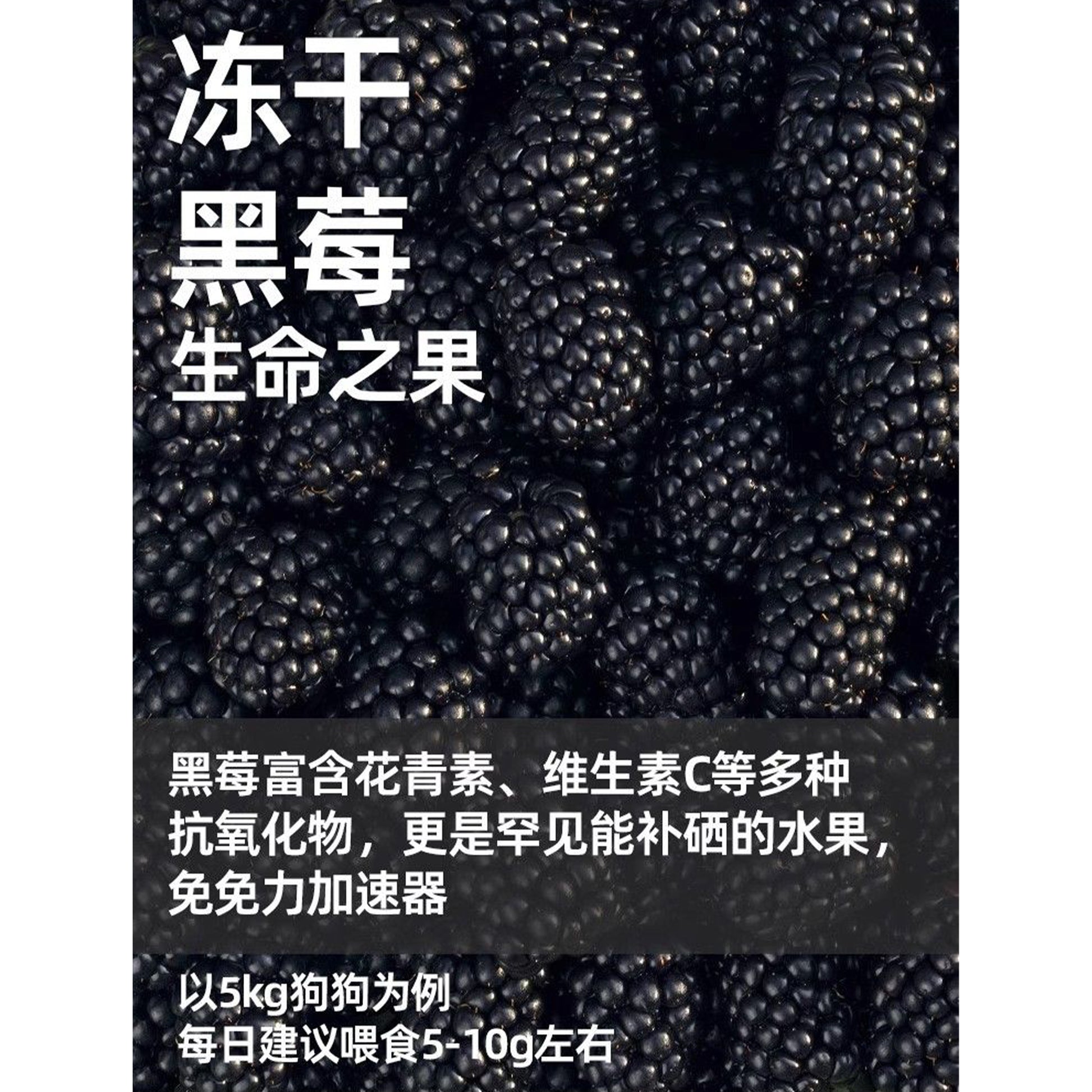 Marumi🐶Freeze Dried Fresh Black Berry 40g