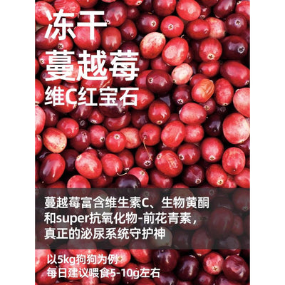 Marumi🐶Freeze Dried Fresh Cranberry 40g