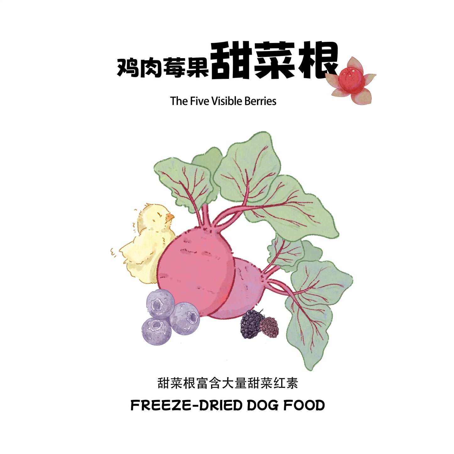 MUNDI🐶Freeze Dried Super Food Complete Food
