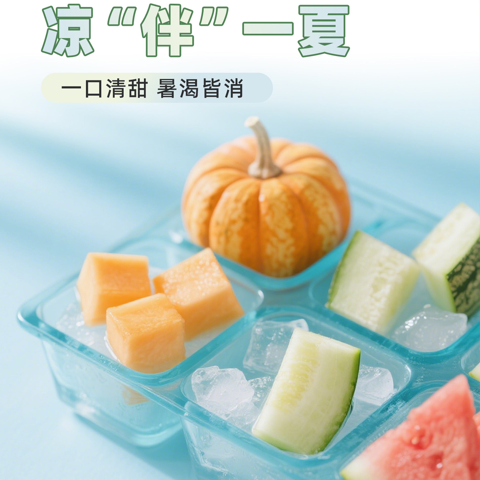 PUZI🐱🐶Summer Special Hydration Broth Pouch