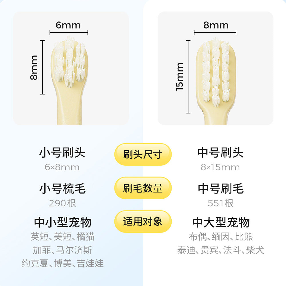 Mango🐱🐶Toothbrush