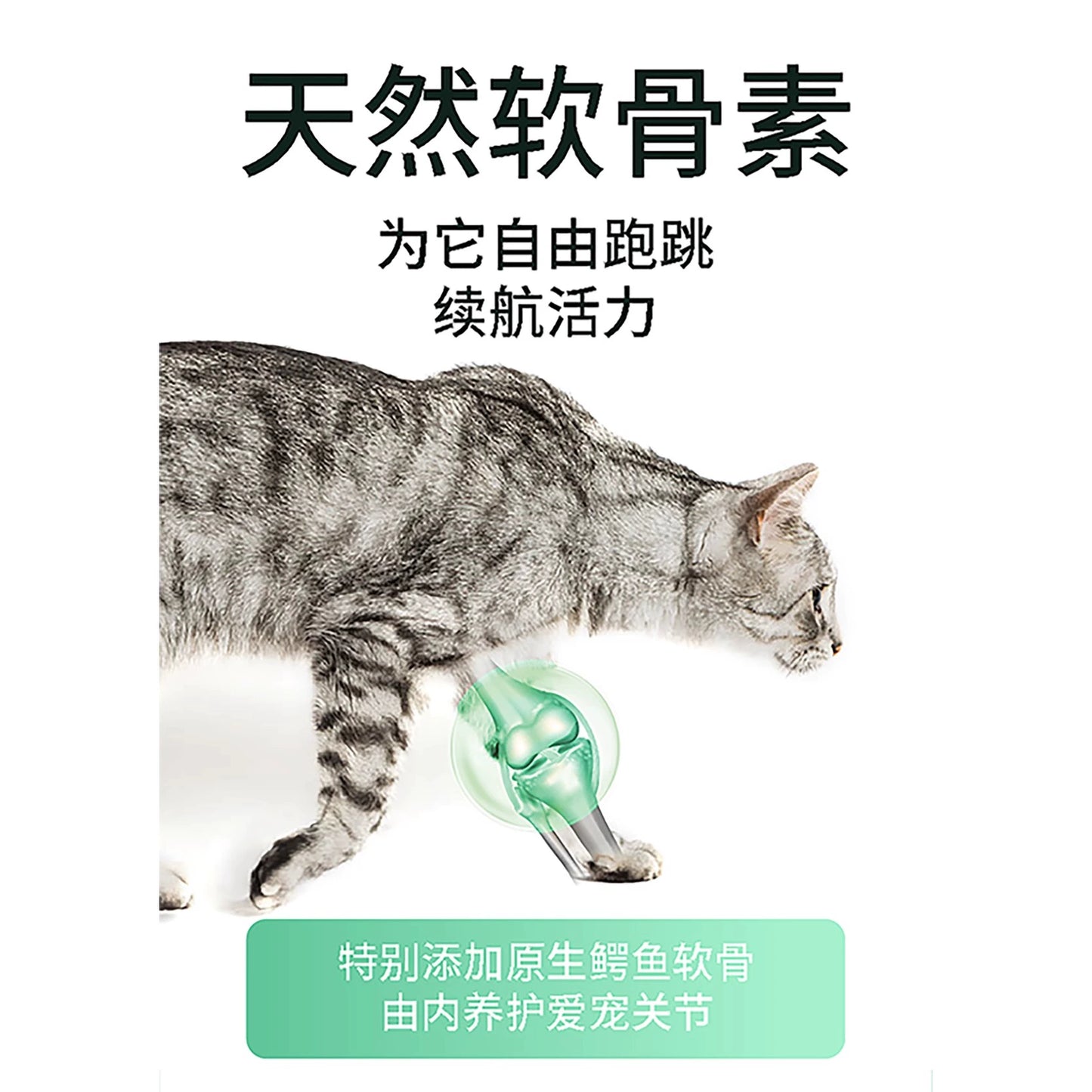 Marumi🐱Freeze Dried Raw Crocodile Patties 55g