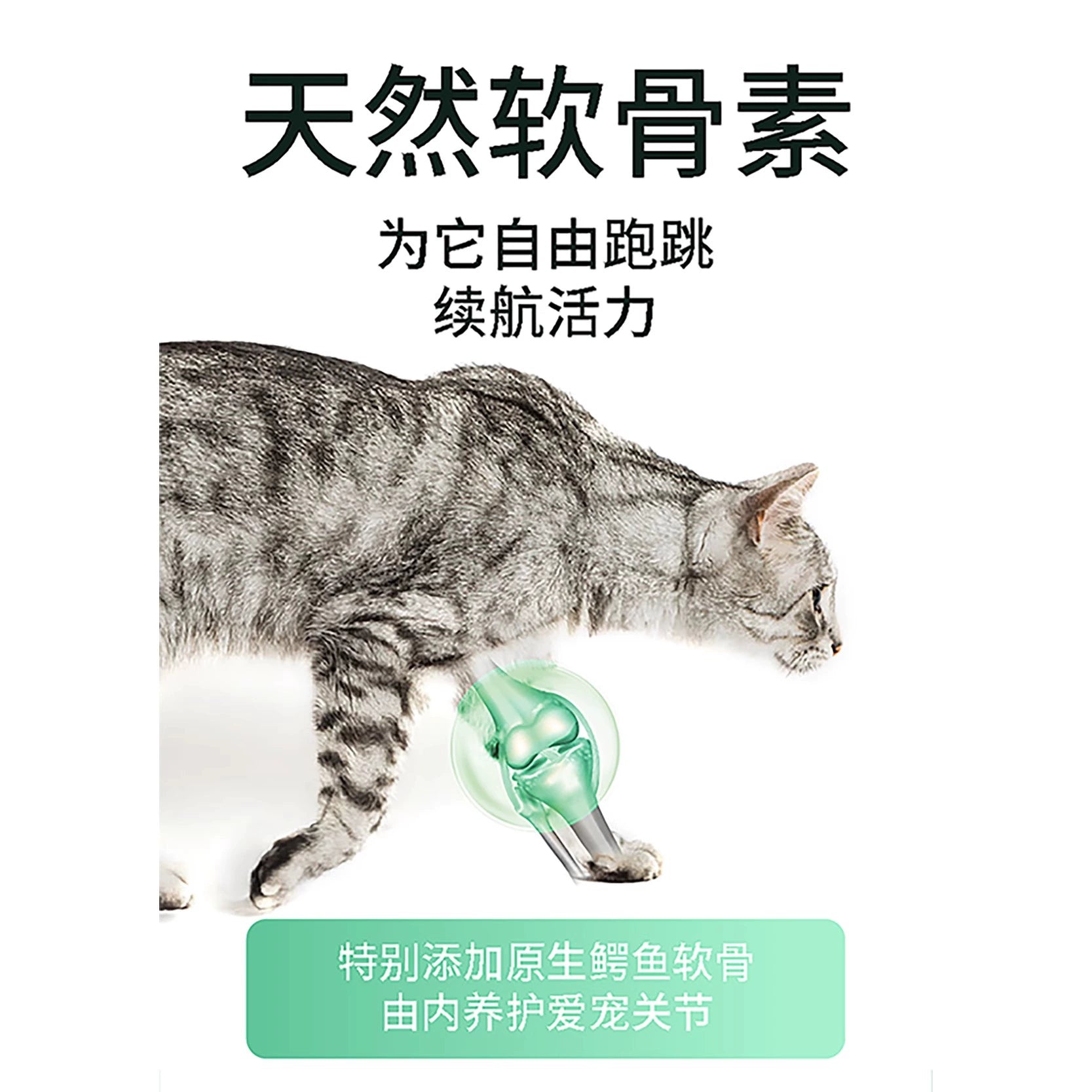 Marumi🐱Freeze Dried Raw Crocodile Patties 55g