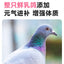 Love Around🐱Freeze-Dried Complete Food - Crispy Cube Pigeon 100g