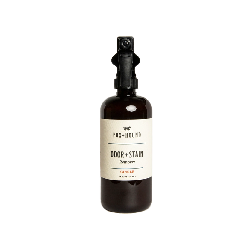 Fox+Hound🐶Odor + Stain Remover 16oz