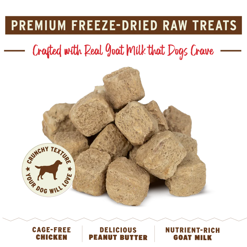 Primal🐶Freeze Dried Raw Treats Pumpkin for My Pumpkin 2oz