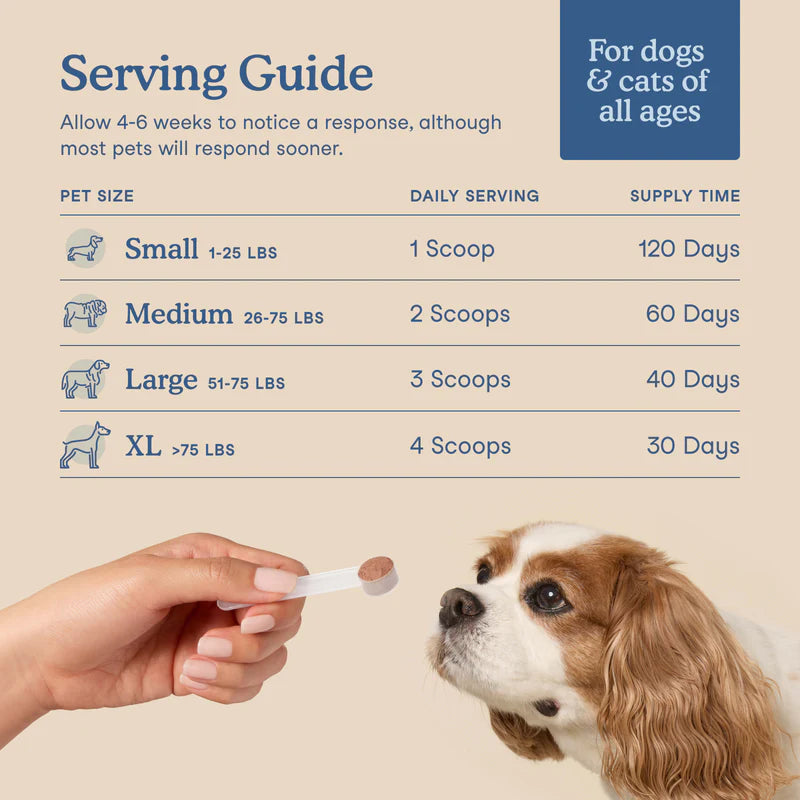 Fera Pets🐱🐶Postbiotics Plus 60g