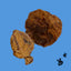 Honey I'm Home🐶Honey Coated Buffalo Tremenda Disc Puffs 3pk