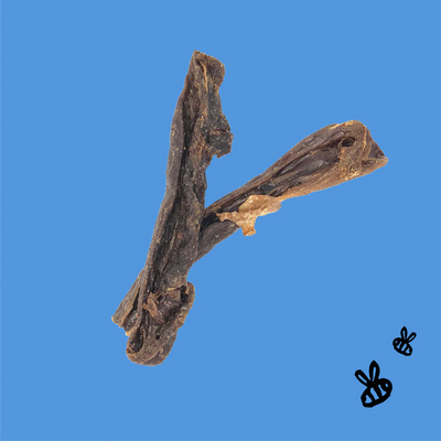 Honey I'm Home🐶Honey Coated Buffalo Udder Sticks 4oz