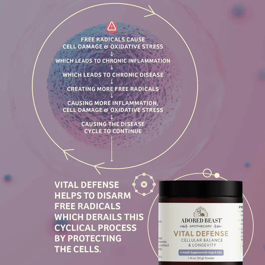 Adored Beast🐱🐶Vital Defense | Cellular Support