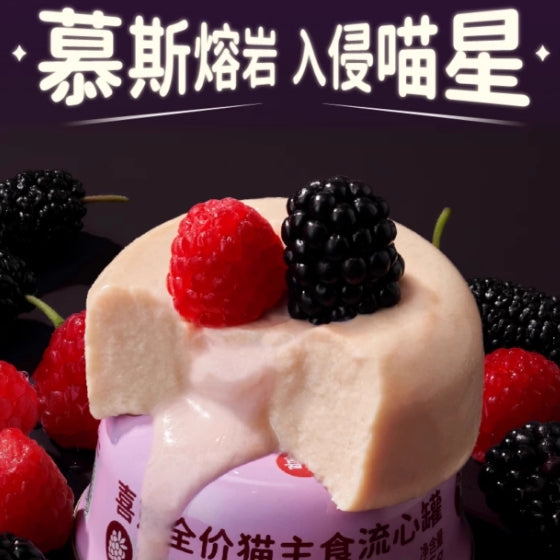 HiCubs🐱Lava Burst Complete Wet Food