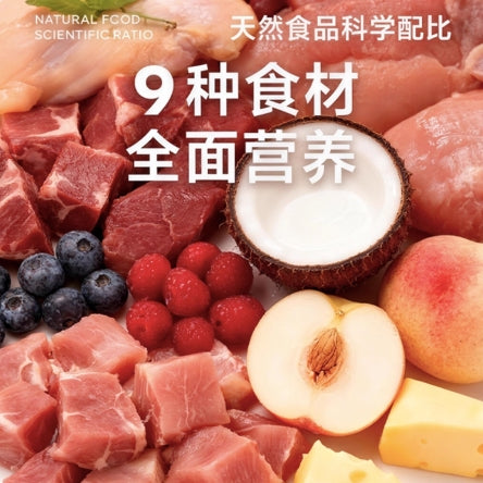 RawFlavr🐱🐶Raw Cheese Ice Cream Complete Wet Sauce 80g