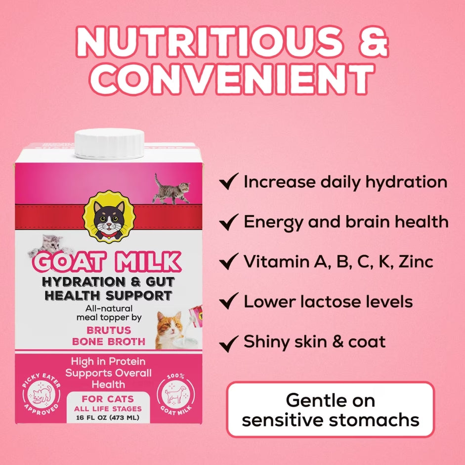 Brutus🐱Hydration & Gut Health Support 100% Pure Goat Milk 16oz