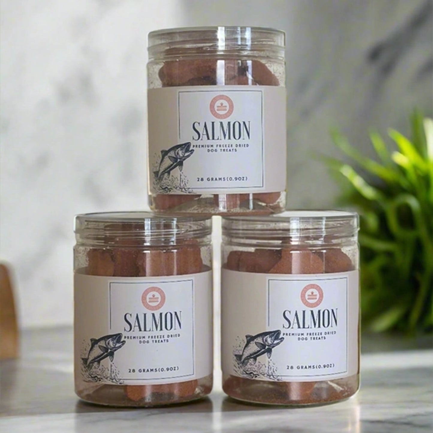 Paw Paw Patisserie🐶Premium Freeze Dried Bones 20pc