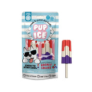 Pup Ice🐶Summer Ice Cream Rocket Lollies Blueberry & Strawberry 2pc