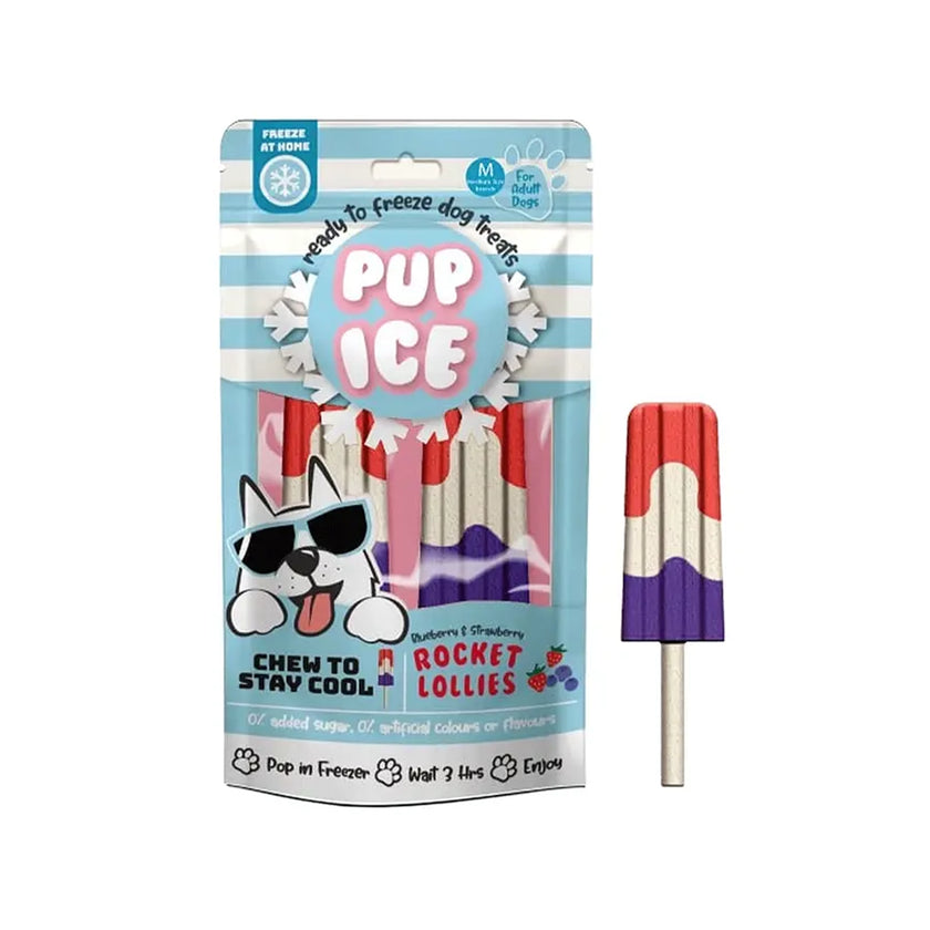 Pup Ice🐶Summer Ice Cream Rocket Lollies Blueberry & Strawberry 2pc