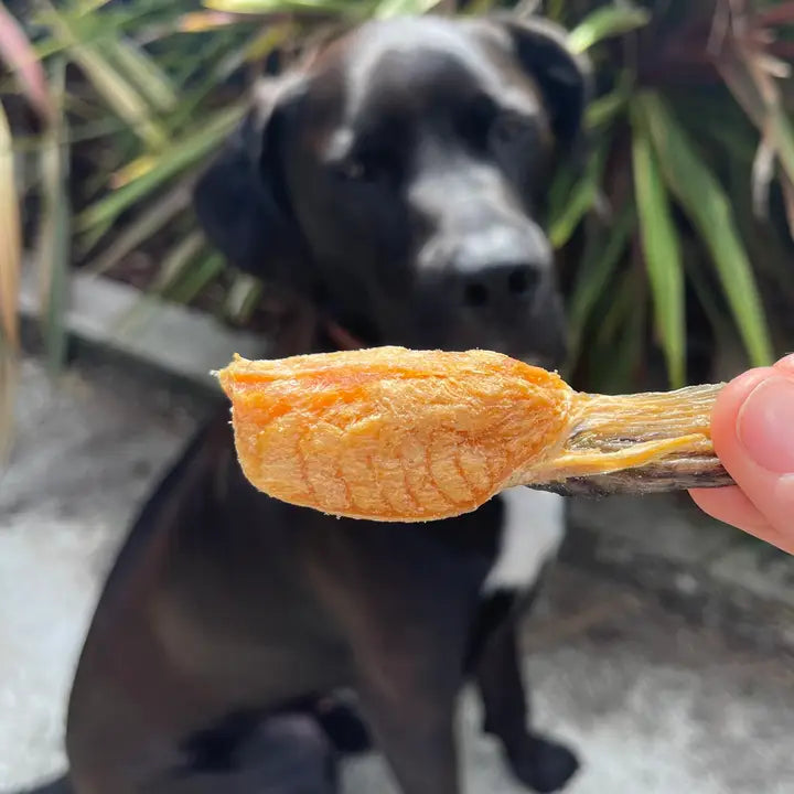 Gourmate🐱🐶Freeze Dried Alpine Freshwater Salmon Fin 3.5oz