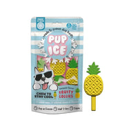 Pup Ice🐶Summer Ice Cream Fruity Lollies Pineapple 3pc