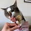 Petit🐱🐶Freeze Dried Lollipops 8pc