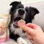 Petit🐱🐶Freeze Dried Strawberry Yogurt 40g