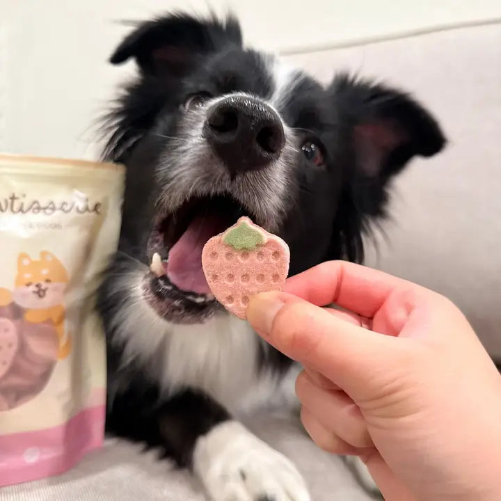 Petit🐱🐶Freeze Dried Strawberry Yogurt 40g